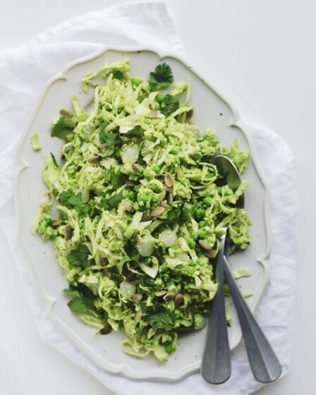 Spidskålssalat med avocado-edamamecreme