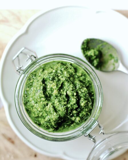 Oliefri pesto