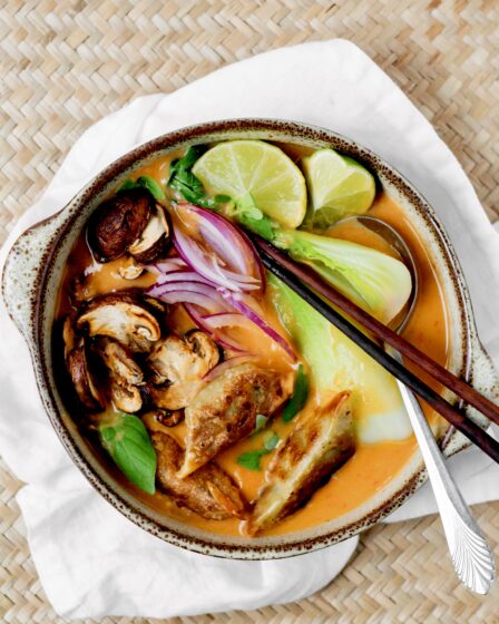 Spicy dumplingsuppe