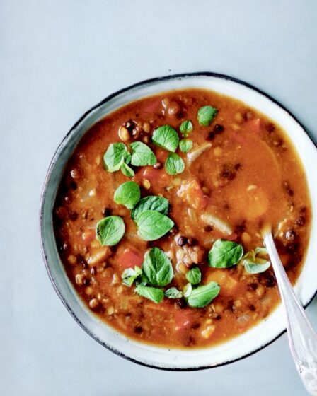 Lynhurtig linsesuppe
