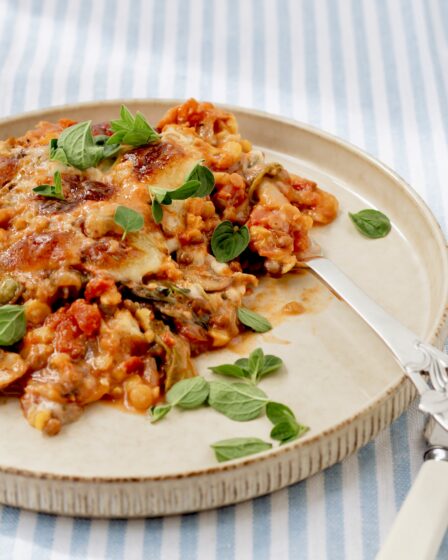 Smovsefad aka. linse-kålfad alla lasagne