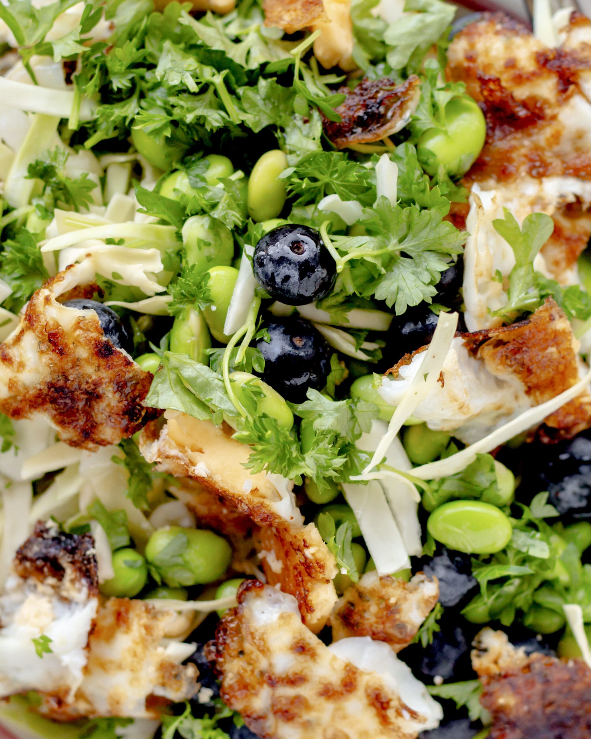 Proteinsalat med spidskål